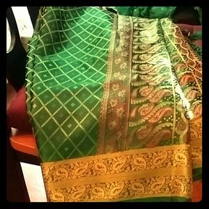 Gorgeous Indian Sari